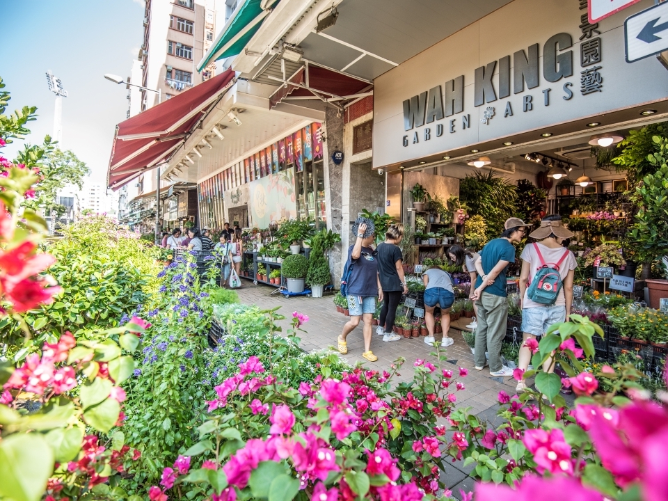  旺角花墟的花店