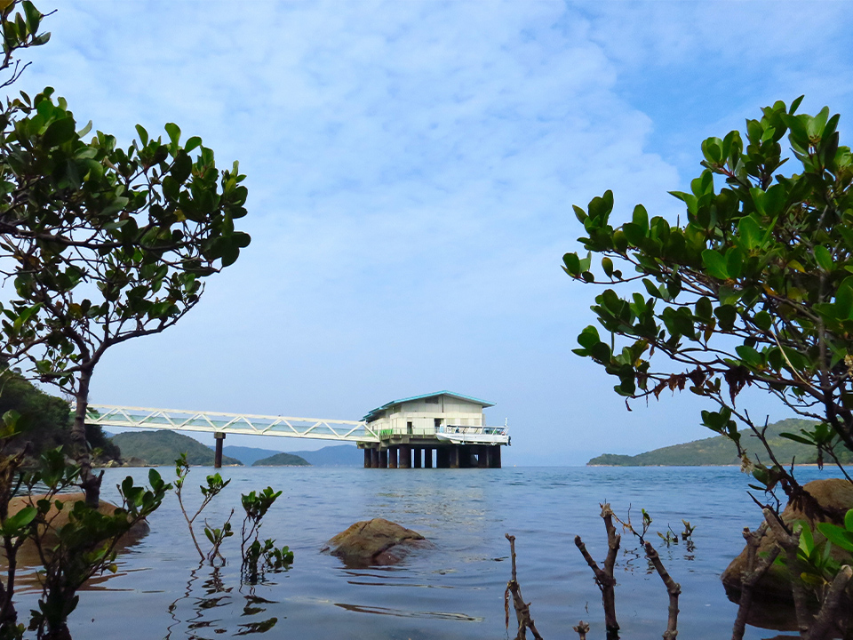 Jockey Club HSBC WWF Hong Kong Hoi Ha Marine Life Centre