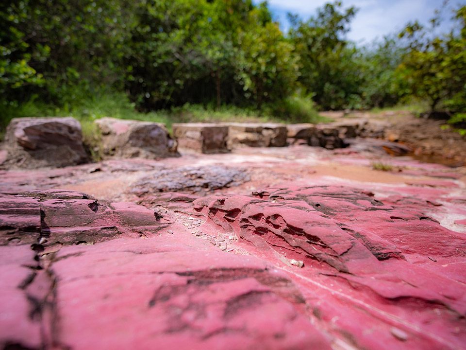 Sam A Tsuen pink-red siltstone shores