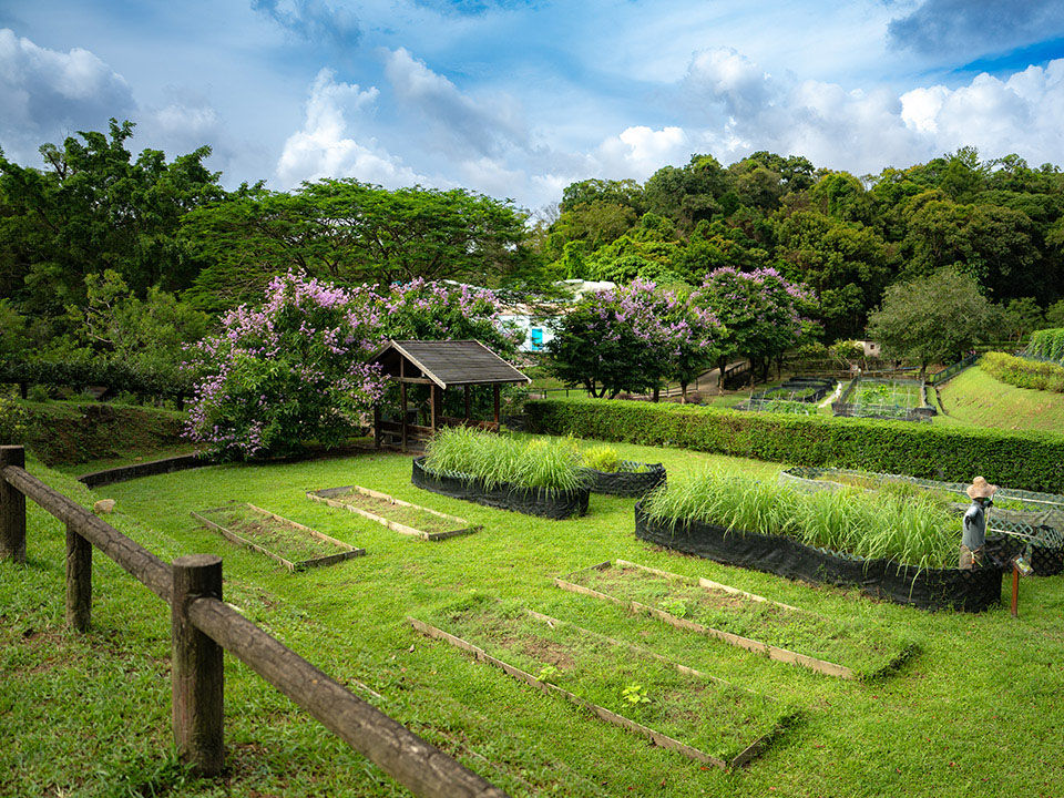 Lions Nature Education Centre