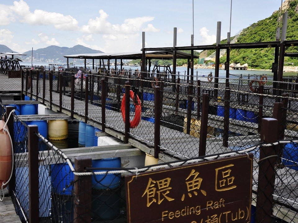  餵魚區
