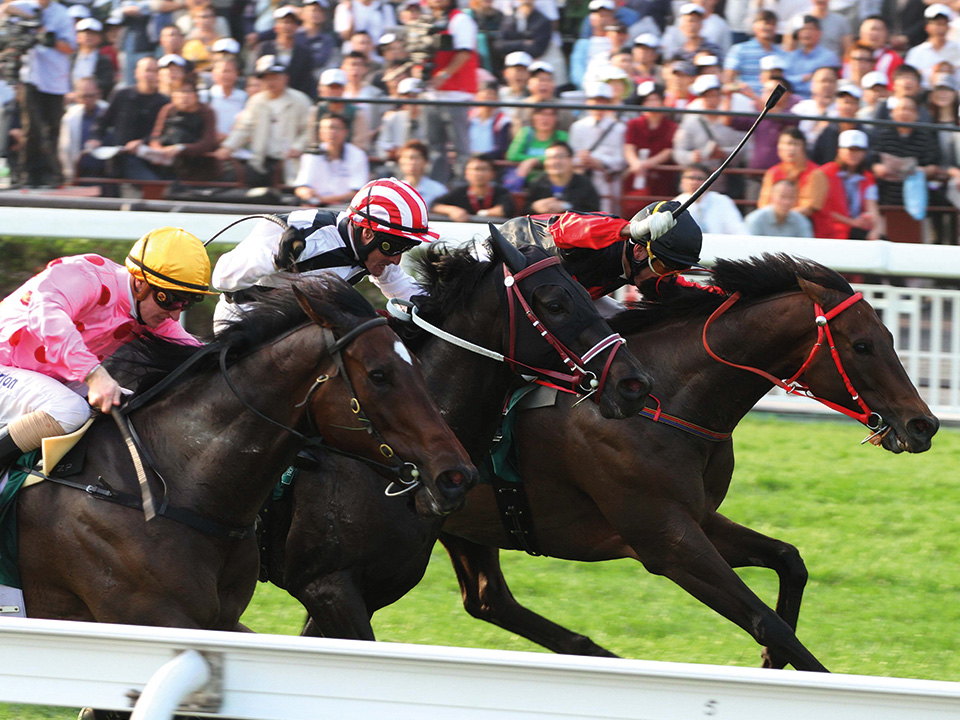 藍天下沙田馬場舉行賽馬。