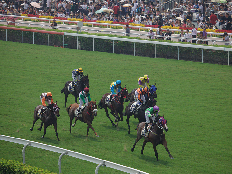 沙田馬場觀眾觀看賽馬。