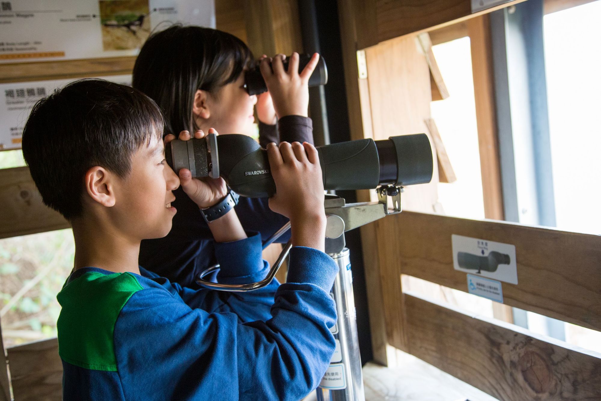 Bird Watching Festival 2020-2021 | Hong Kong Tourism Board