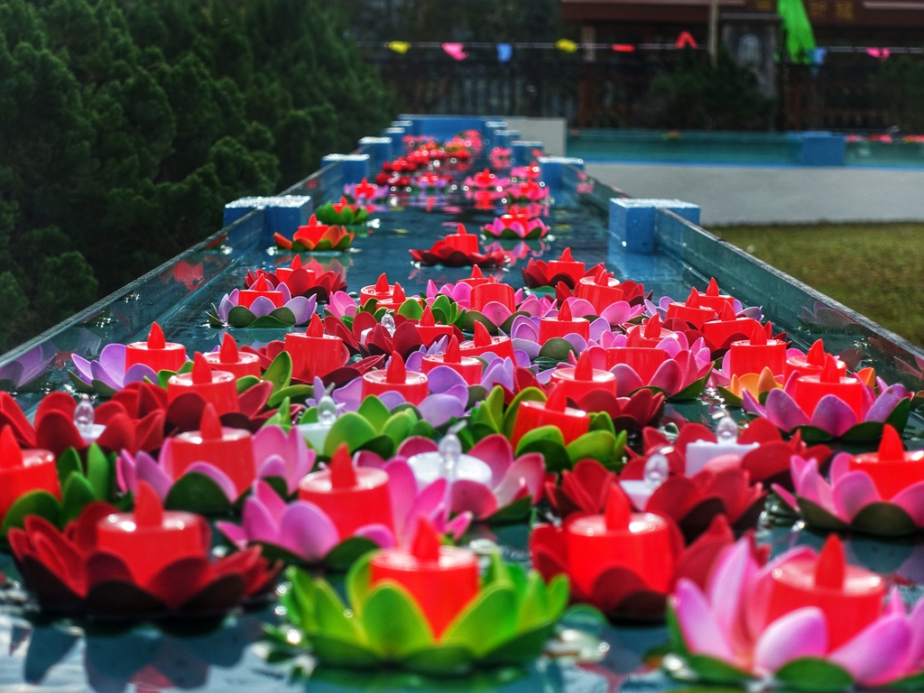 香港許願節2025暨花車展覽| 香港旅遊發展局