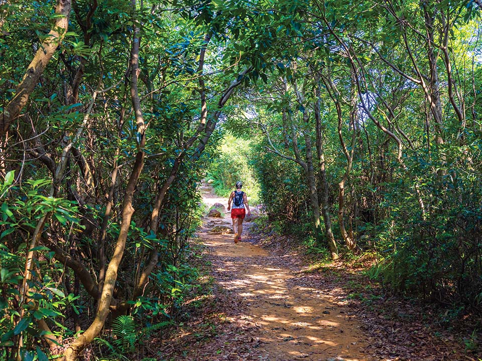 Wandelroute van Sheung Yeung Shan