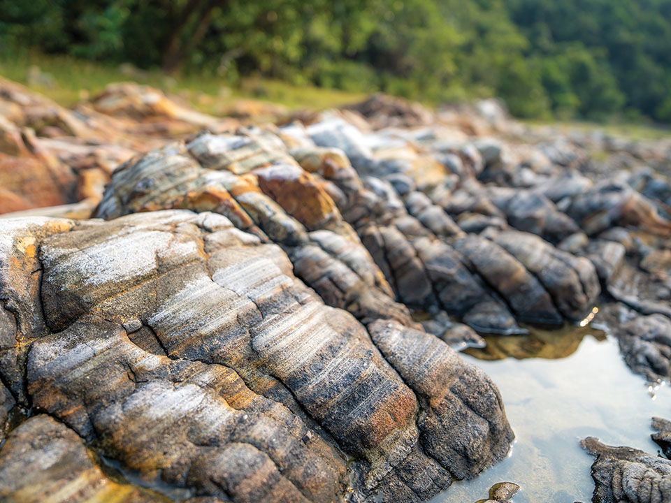 roche sédimentaire volcanoclastique rare à Lai Chi Chong