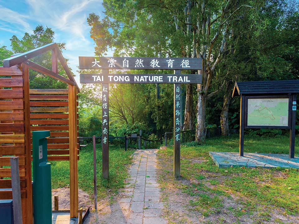 Tai Tong Nature Trail