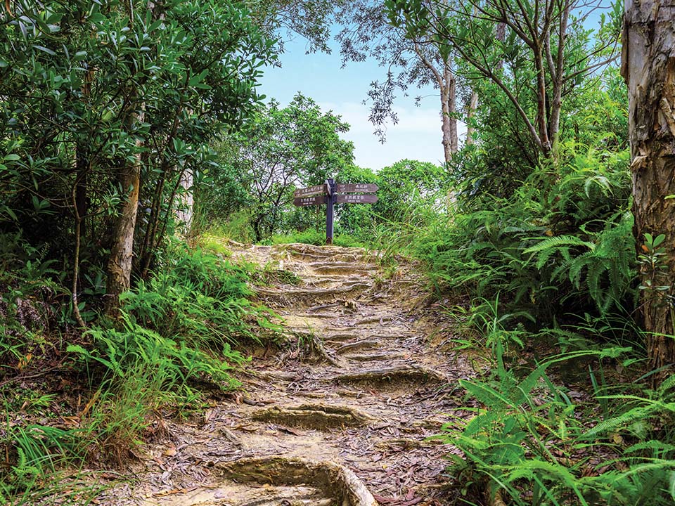 Nature trails leads to Sweet Gum Woods and Thousand Island Lake 