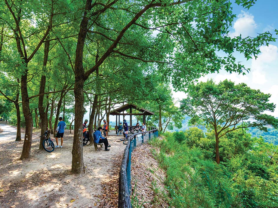 Hikers relax at the tables sheltered beneath the canopy of leaves