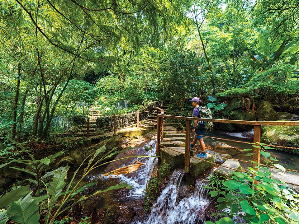 A showcase of fauna at Kadoorie Farm