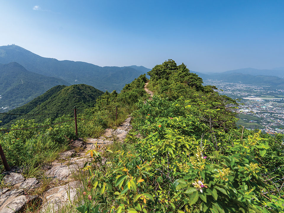 Chain fences stretch across the dizzying gaps