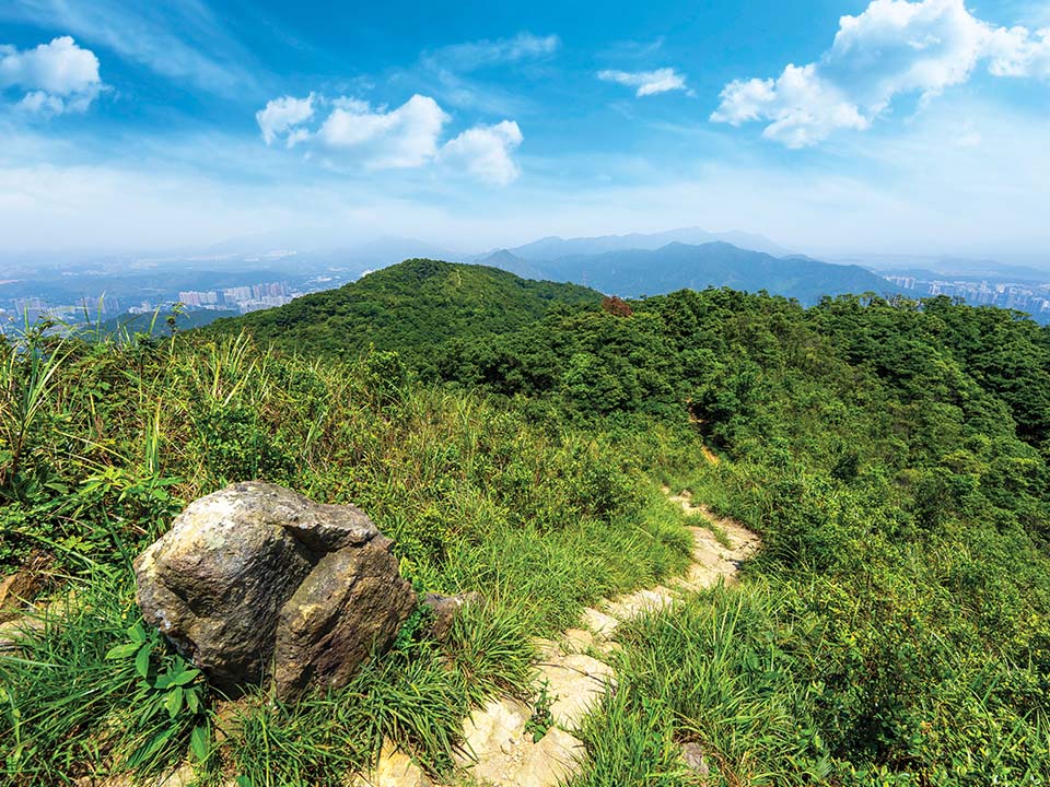 View from Pak Tai To Yan