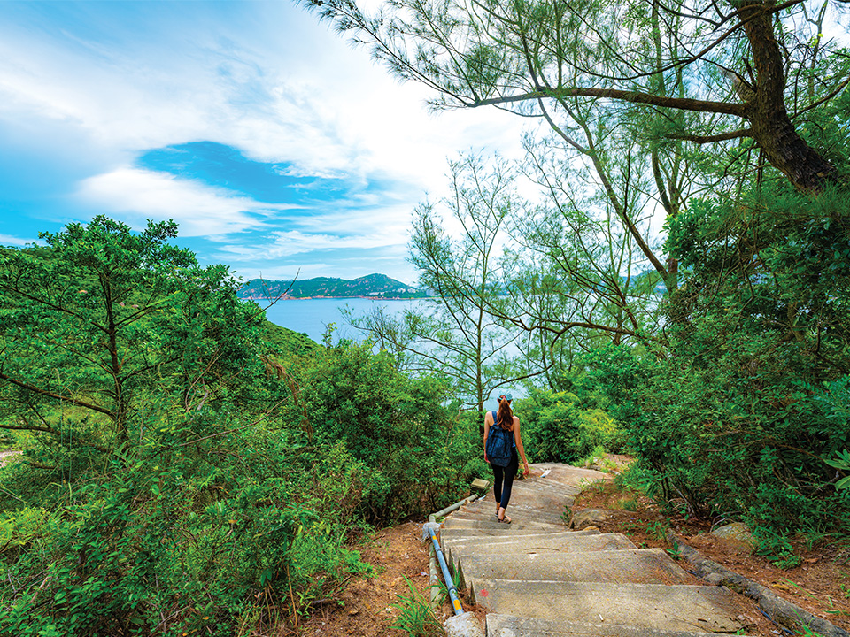 To Tei Wan Hiking trial 