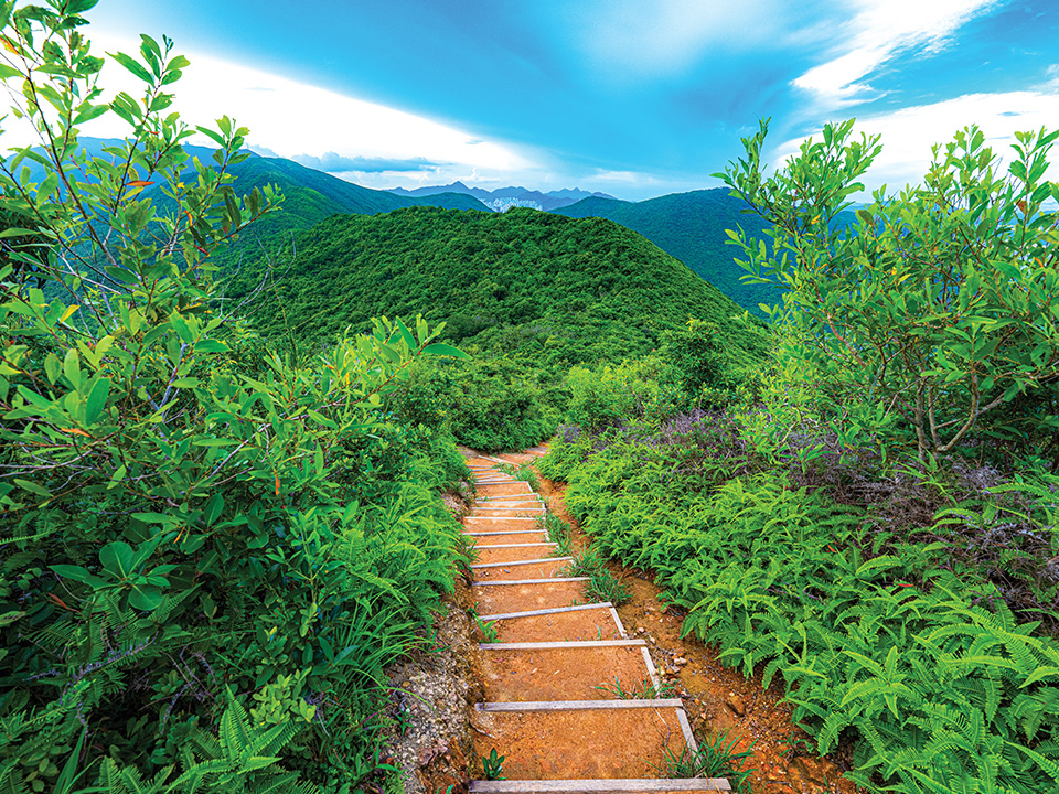 Wanderweg bei Pottinger Gap