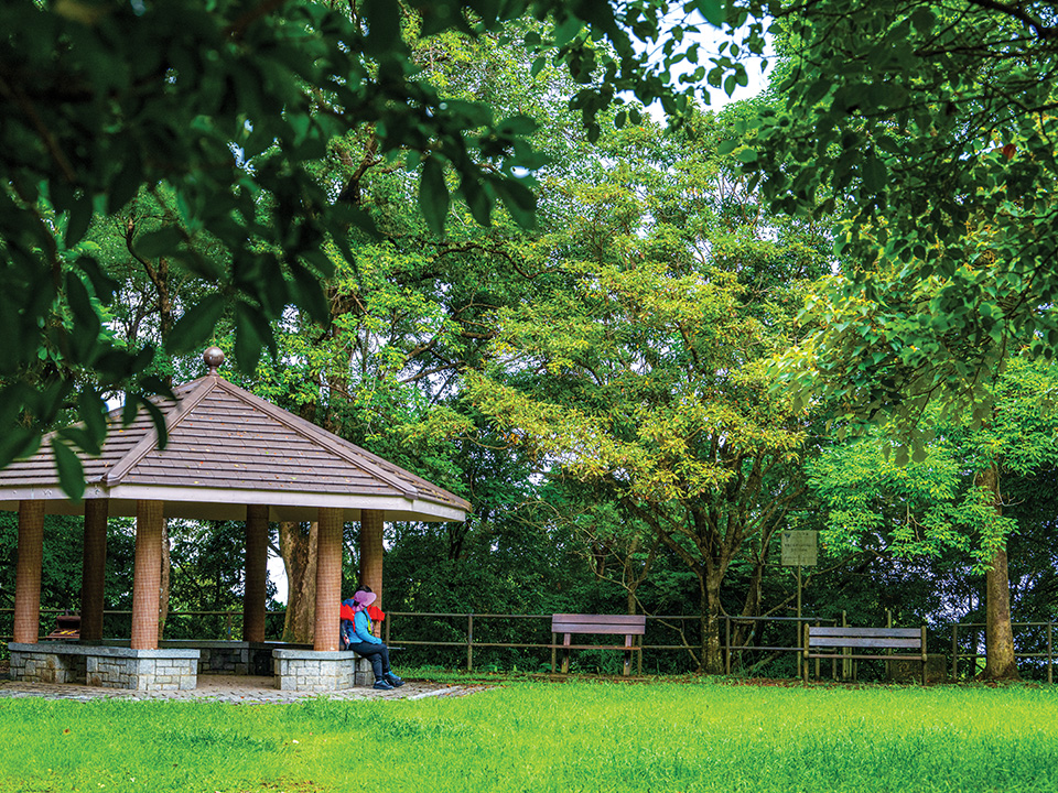 Pavilion in the shade