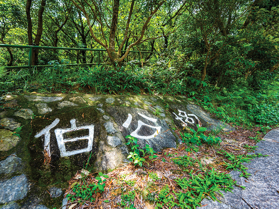 Pak Kung Au rotstekeningen