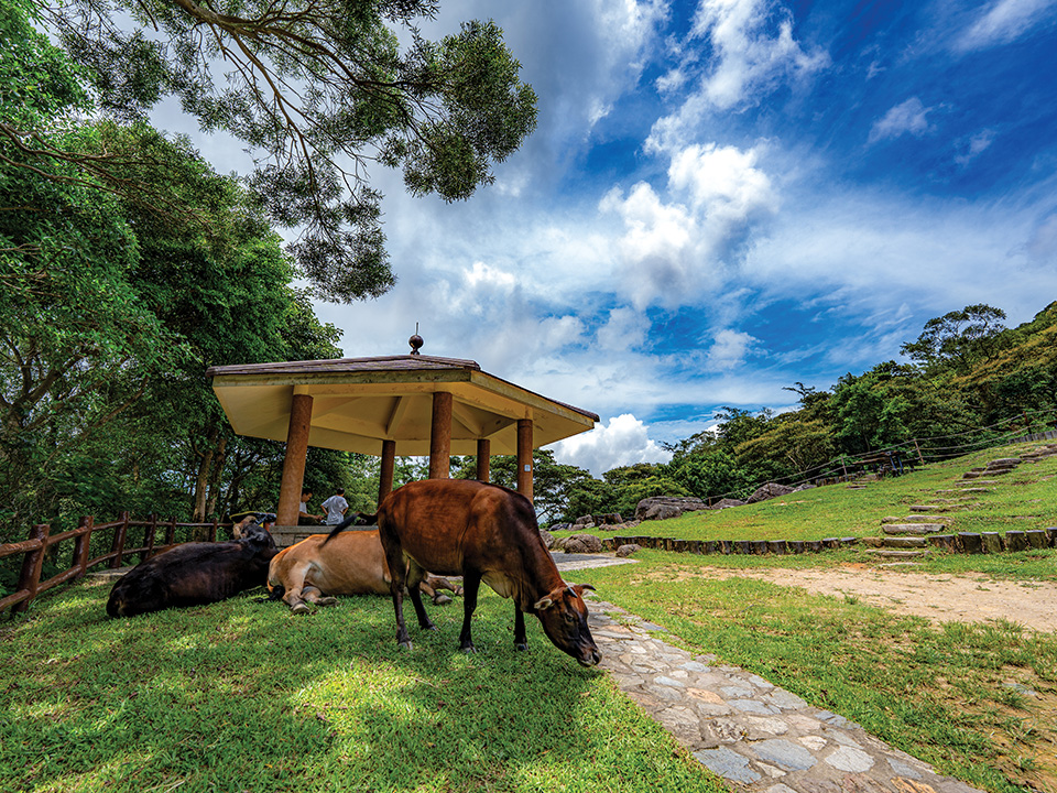 Pak Kung Au Hiking Trail