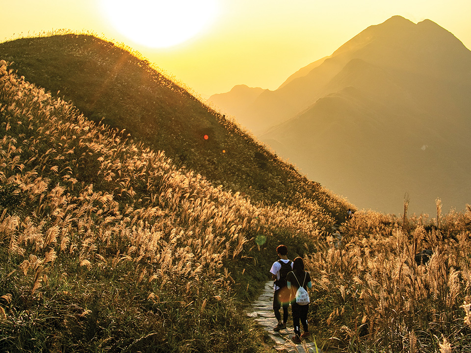 Sunset Peak hiking trial surrounded by silvergrass