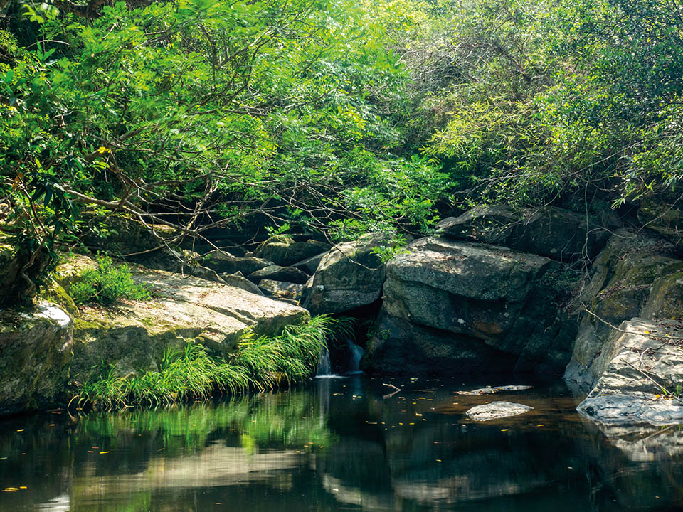 Bride's Pool, Nature Hike