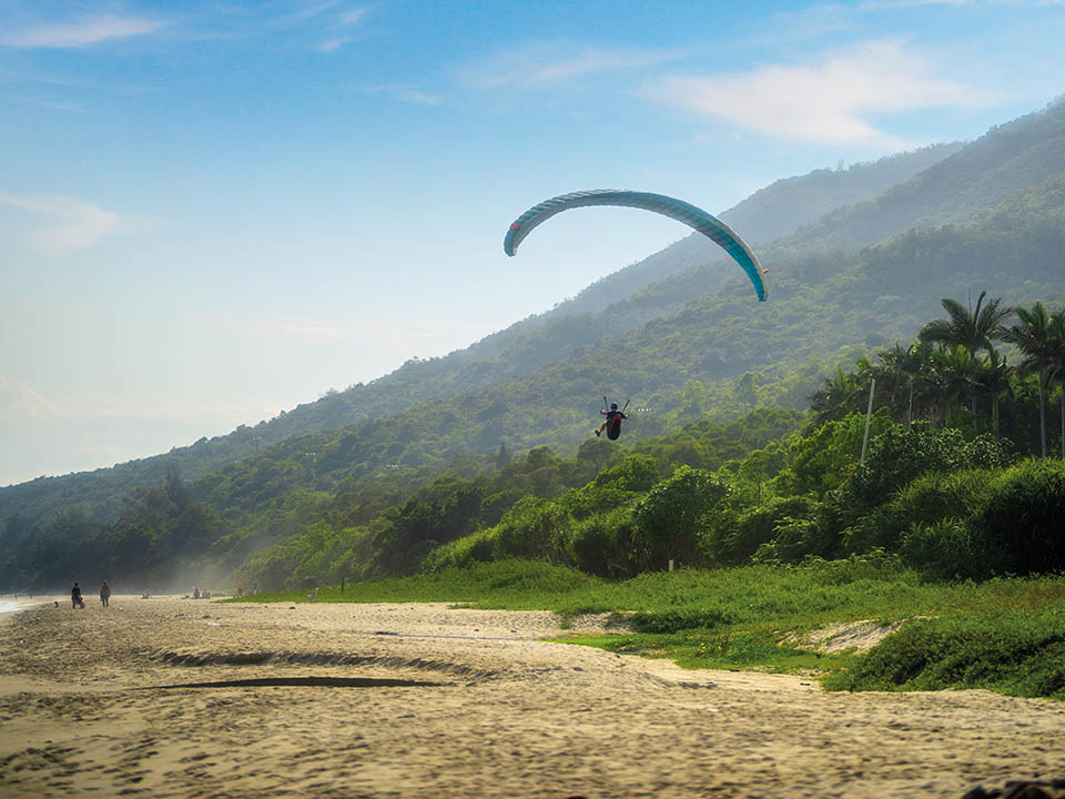 Upper Cheung Sha Beach, Nature