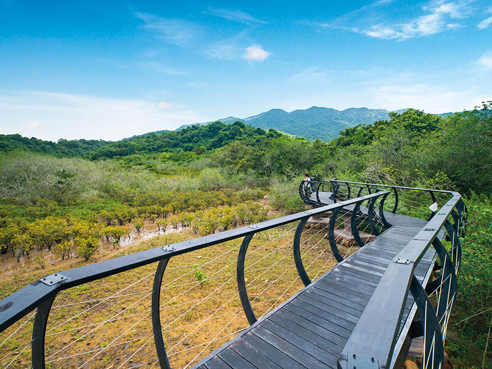 白花魚藤木步道（White-flowered Derris Boardwalk）2