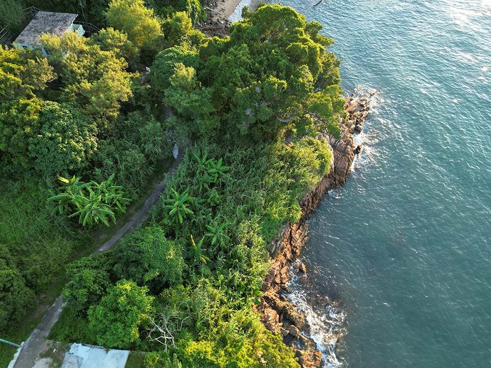 The tree-covered paved trails lead you to Pak Kok Kau Tsuen