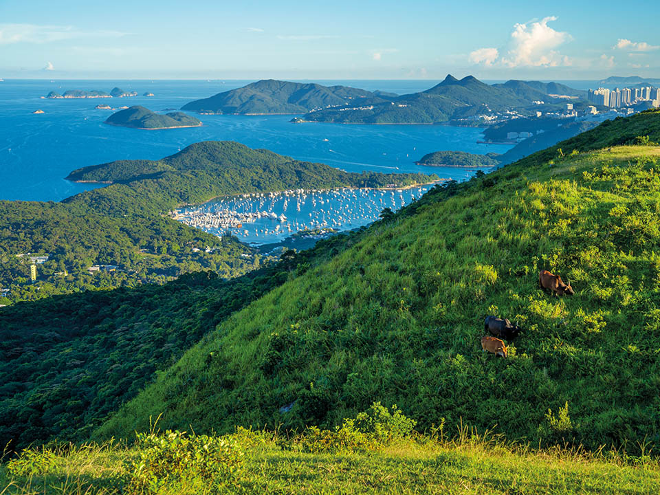 昂平觀景台（Ngong Ping Viewing Point）1