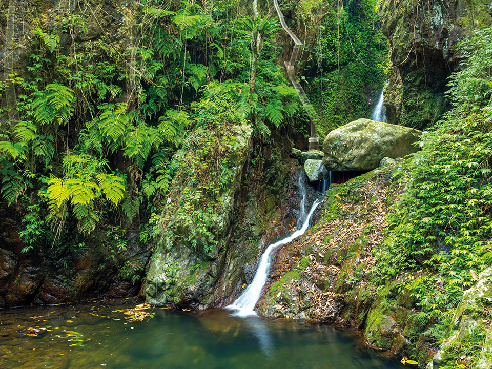 井底瀑是梧桐寨行山路線中景點之一