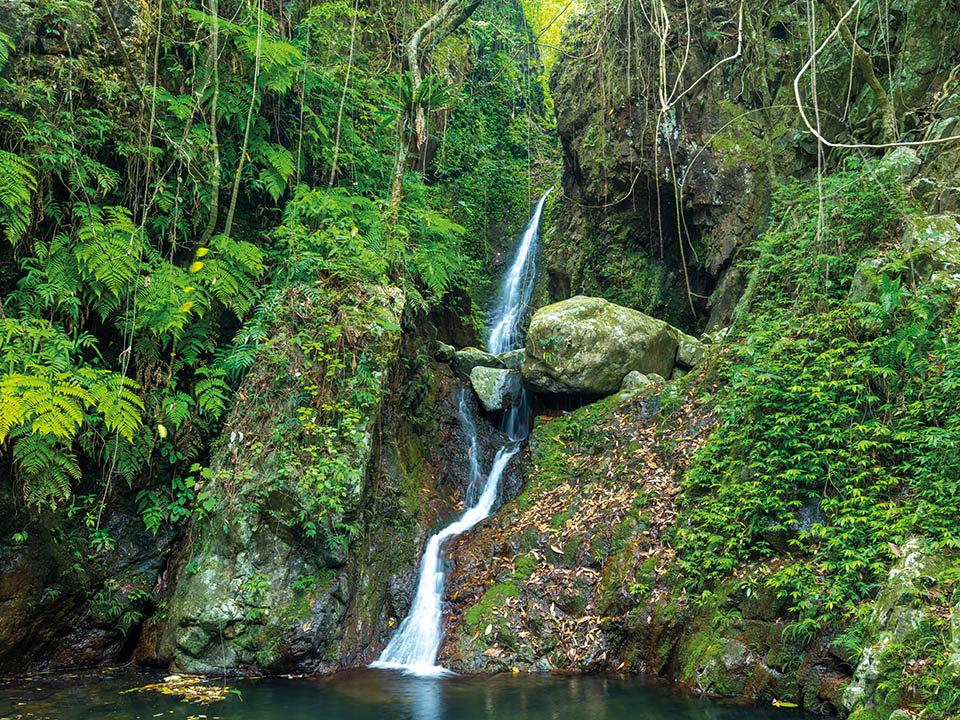 井底瀑的山水從高處流下