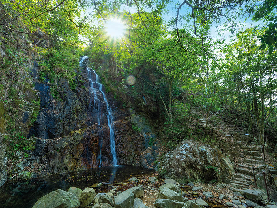 Scatter Fall, Waterfall