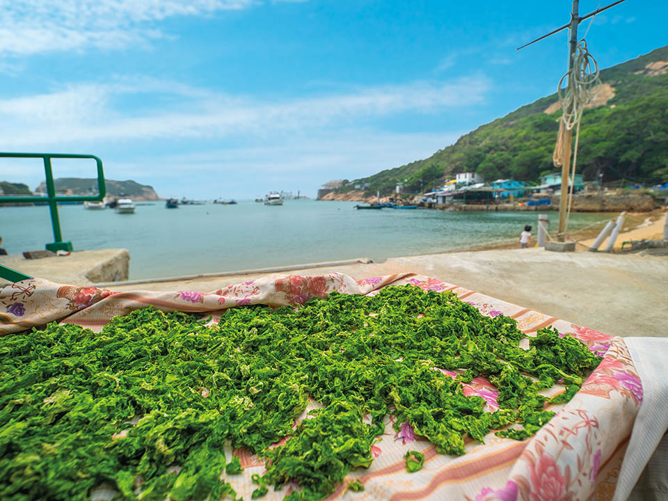 Tai Wan Village, Local Delights