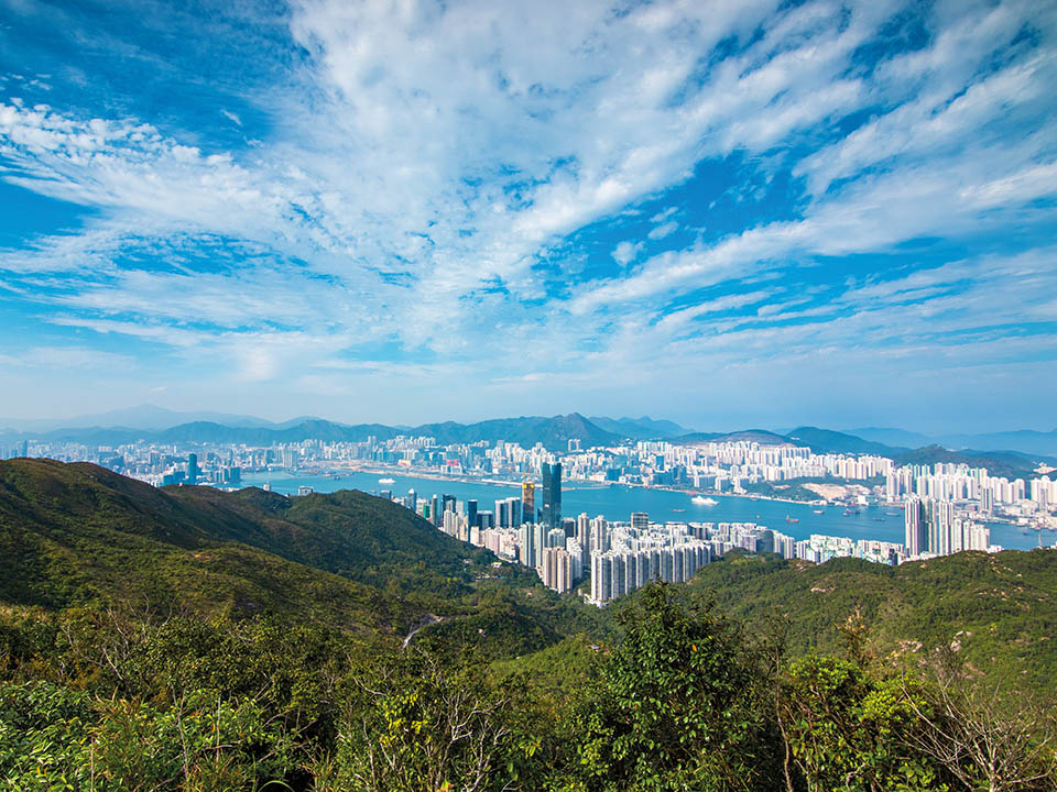 柏架山道自然経（Mount Parker Road Green Trail）2