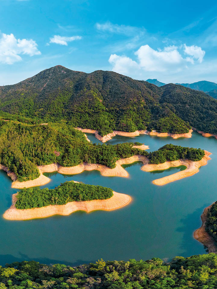 ShingMunReservoir-portrait