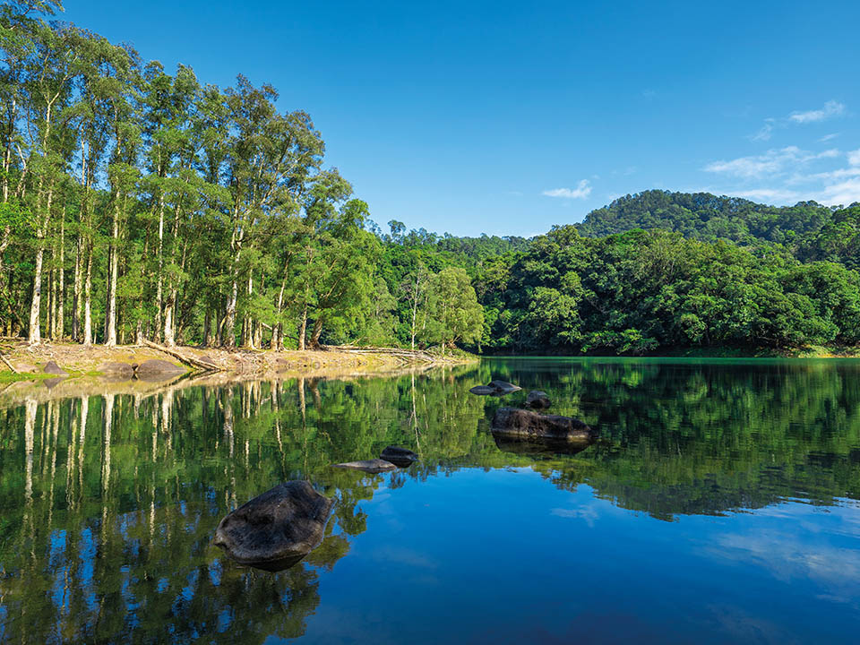 Shing Mun Reservoir, Hiking