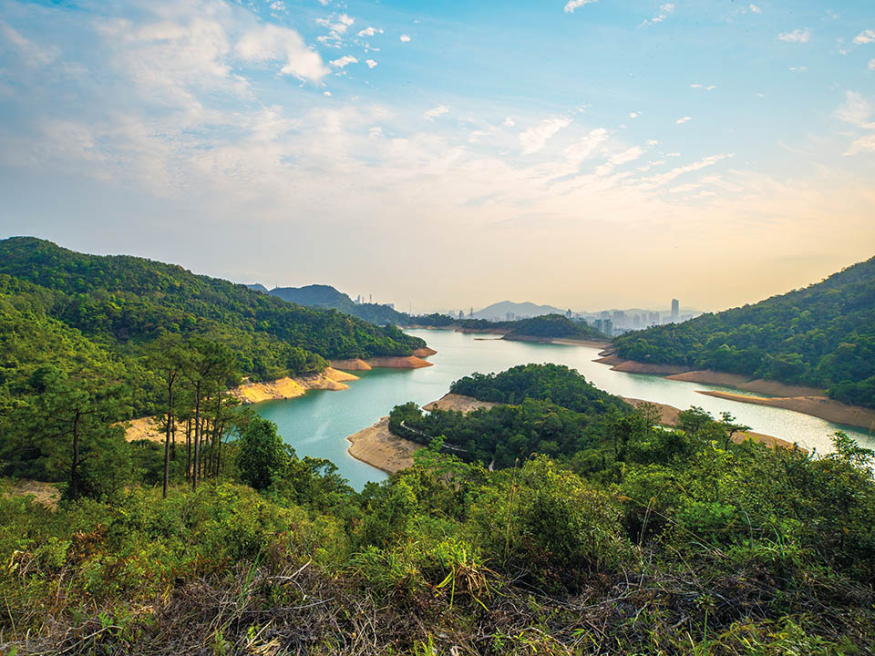 城門水塘觀景台頂處的風景