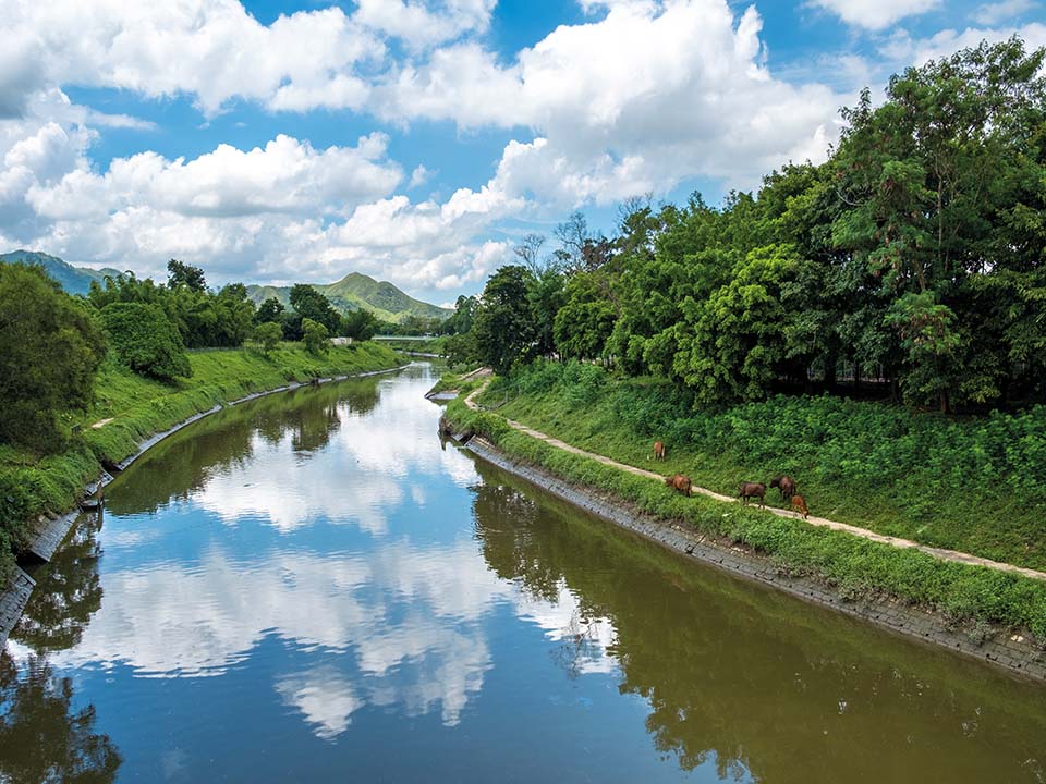 Sheung Yue River, Ho Sheung Heung 1