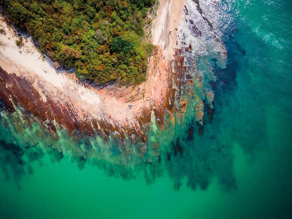 長沙灣一帶海域有很多海洋生物