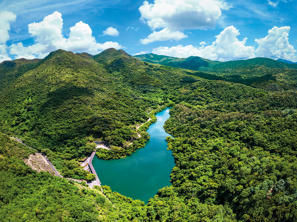 鶴藪水塘（Hok Tau Reservoir）2