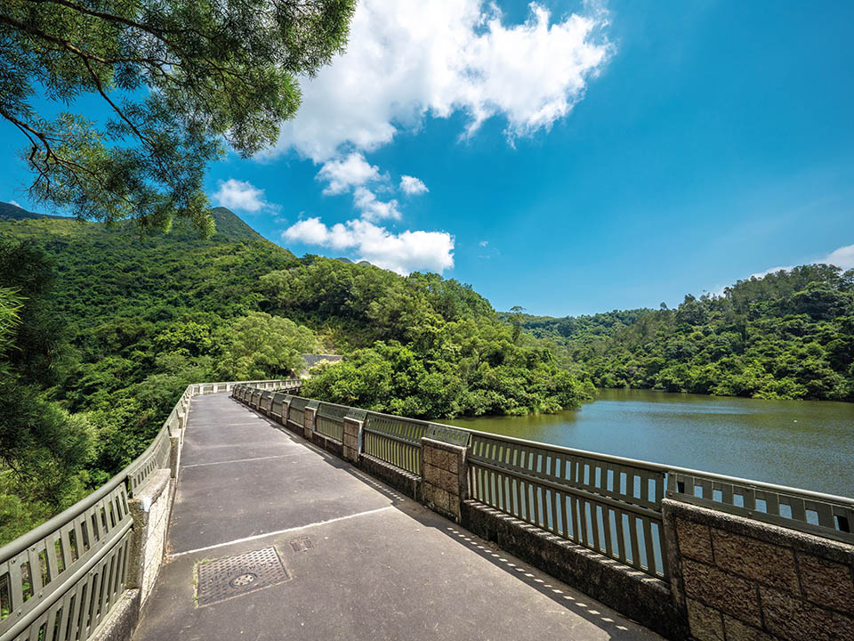 鶴藪水塘（Hok Tau Reservoir）3