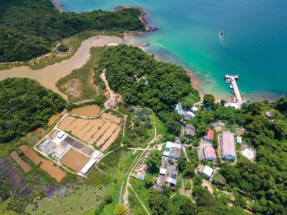 鹽田梓天然鹽田（Yim Tin Tsai Salt Pans）3