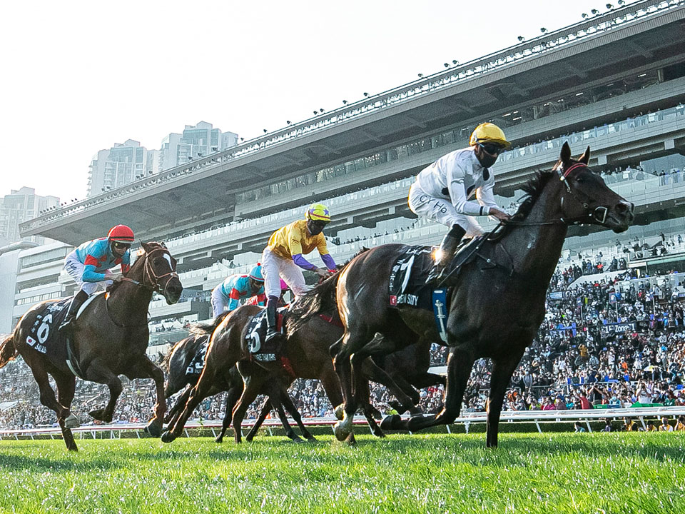 Hong Kong International Races