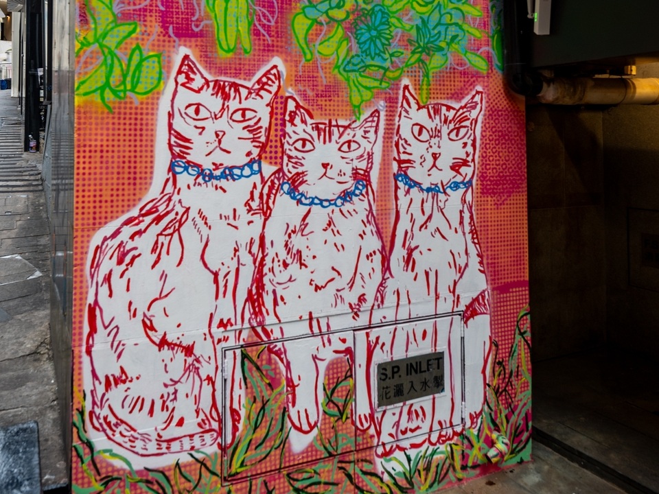 Mural of three white cats on a red wall by DD Yung.