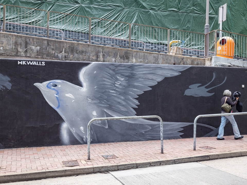 A large swallow in a mural by Nut on Wyndham Street. 