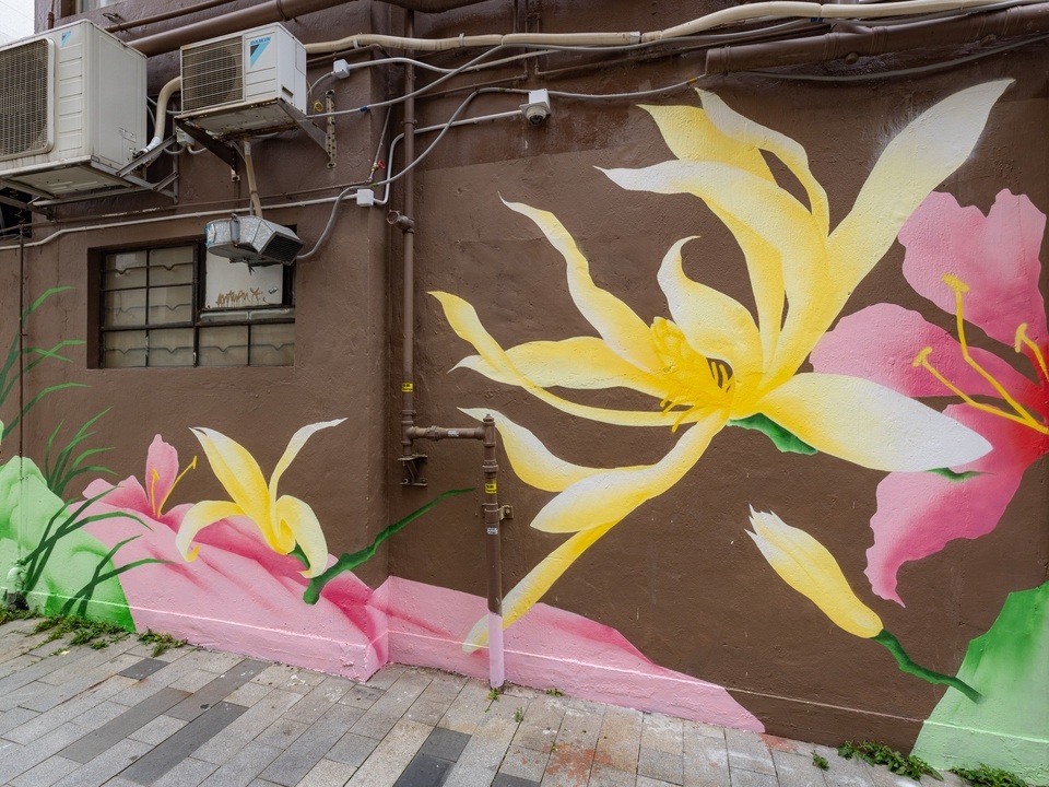 林子楠在三家里創作的花卉壁畫。