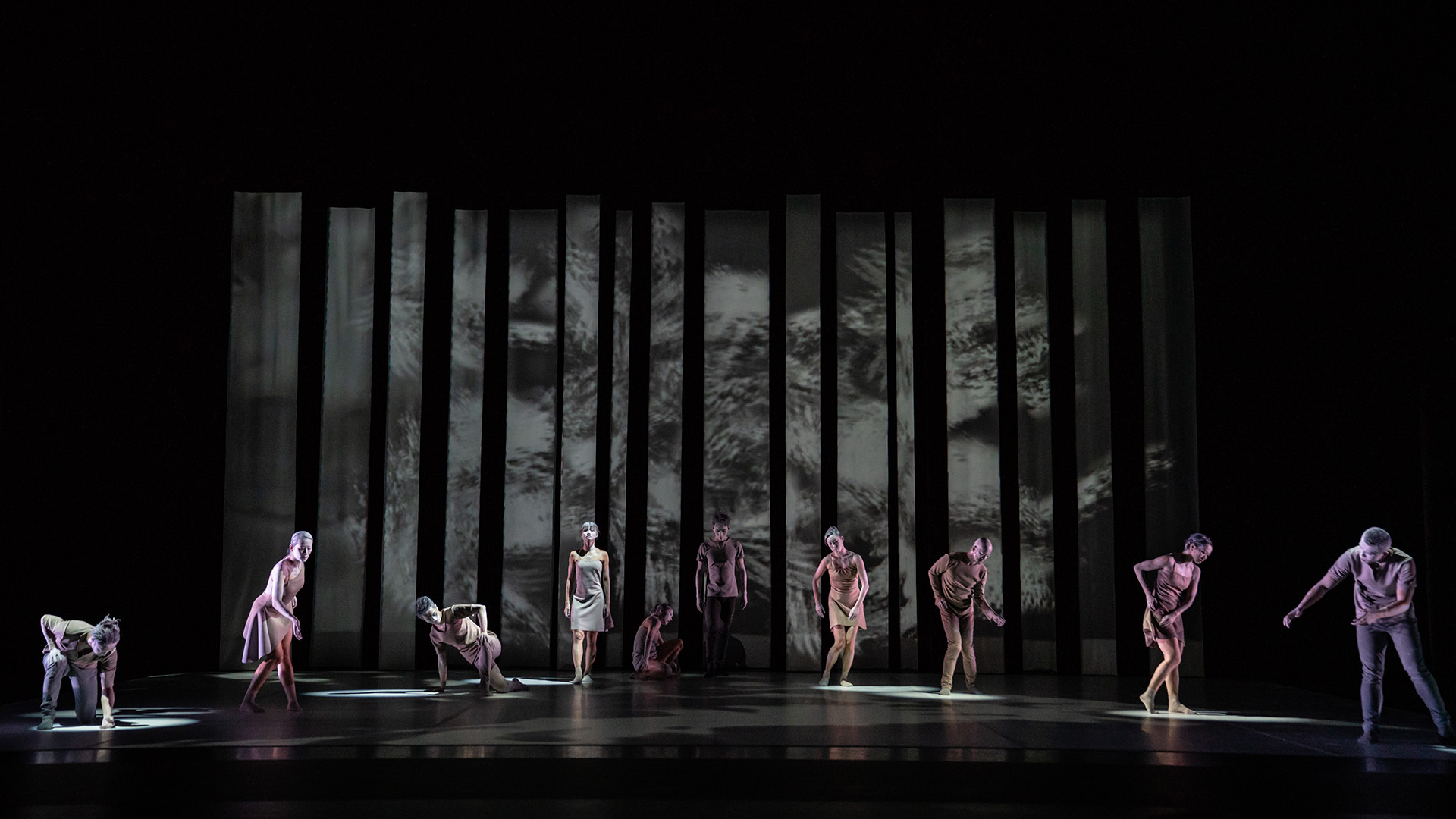 Productions by the City Contemporary Dance Company often reflect Hong Kong’s unique culture