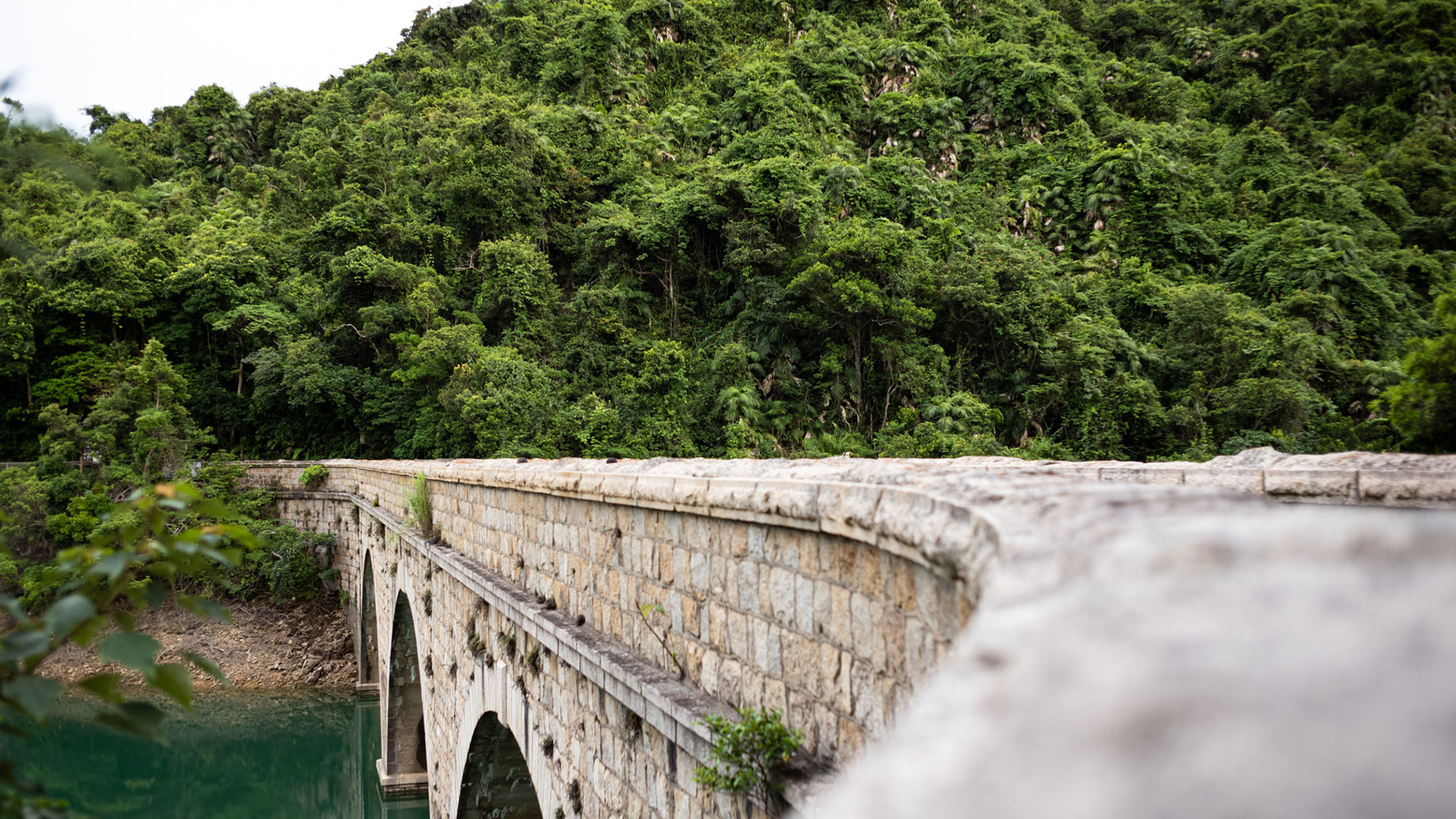 Capturing the Hong Kong bridge with a Leica lens