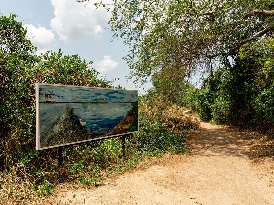 Paintings created by local artist trio Chemiyan on display in Ha Pak Nai