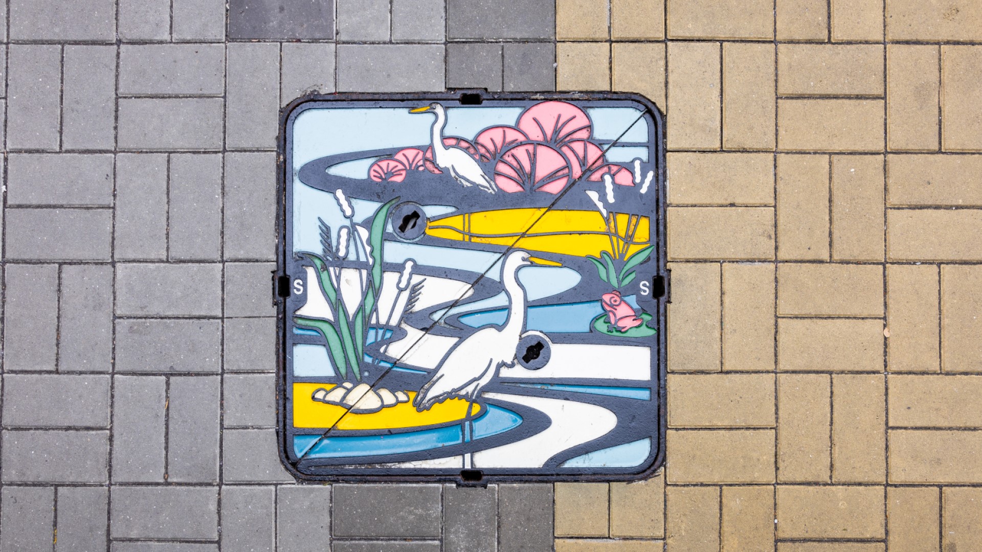 以大圍村南路的白鷺為主題的特色渠蓋