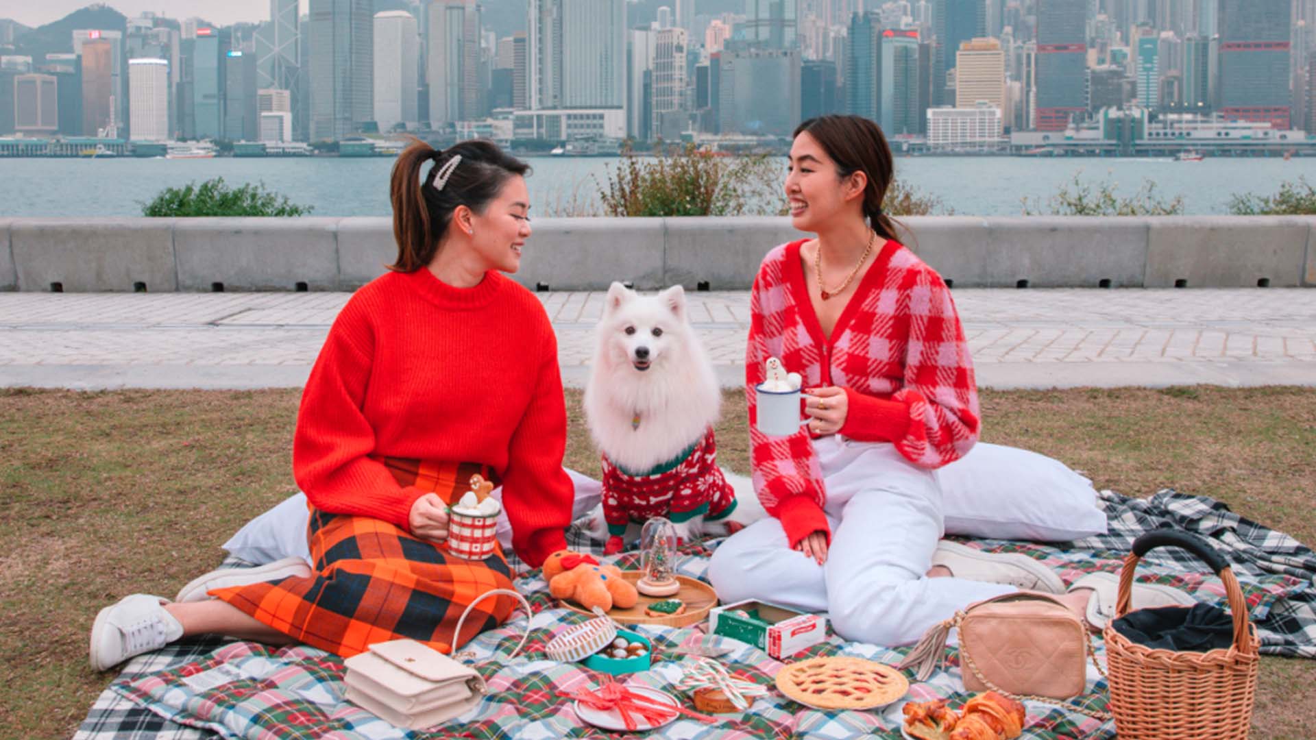 West Kowloon’s Art Park offers top-notch harbour views.